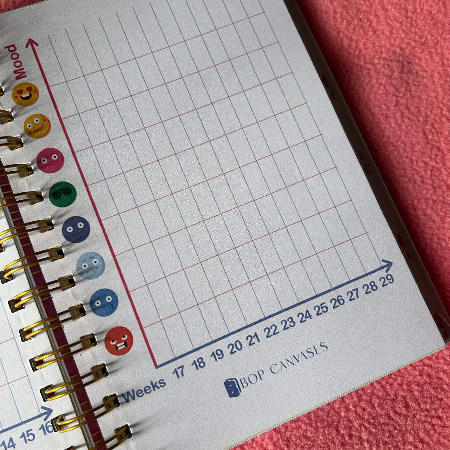 Twin Pregnancy Journal - 9 Months Journal | Personalized with name | Due with two