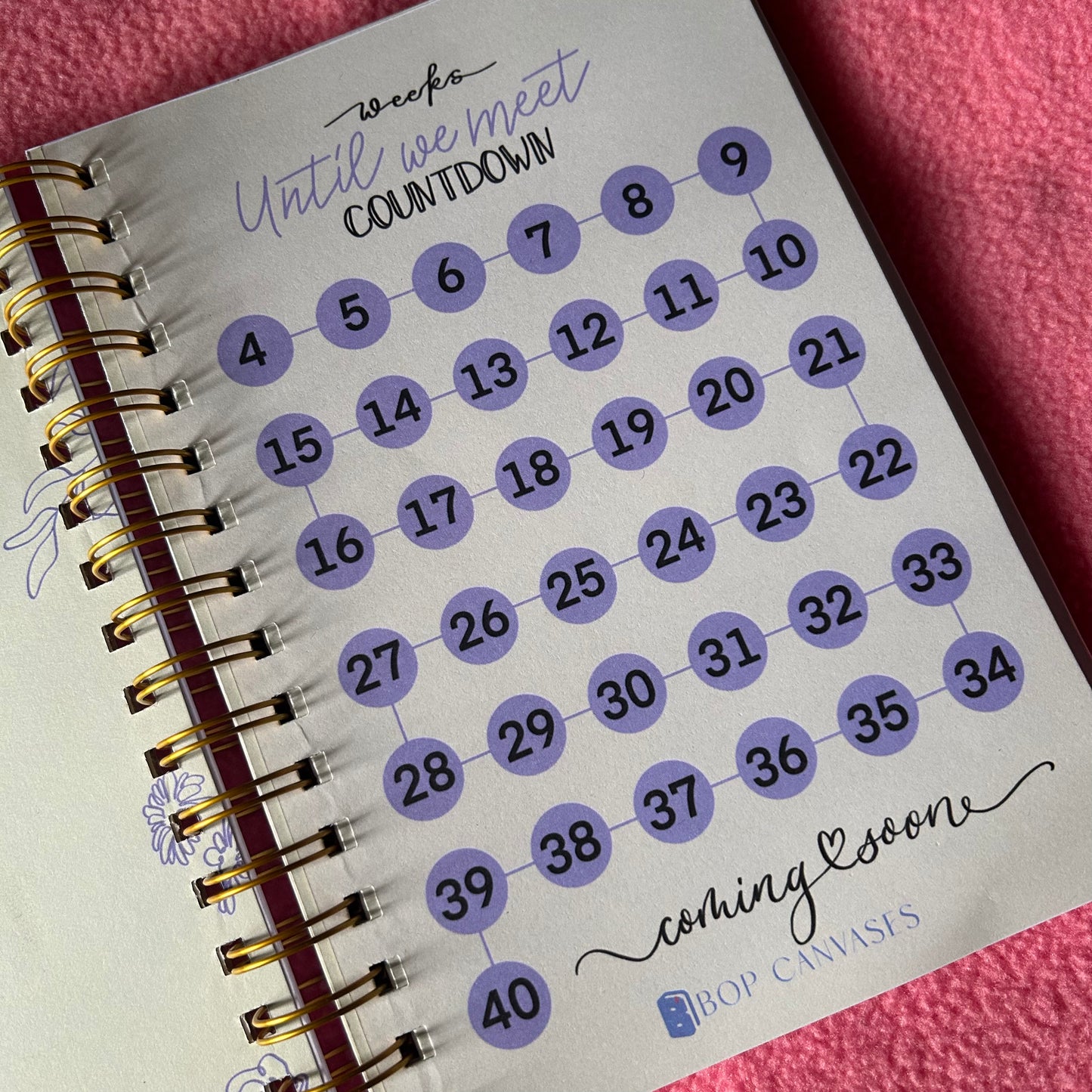 Twin Pregnancy Journal - 9 Months Journal | Personalized with name | Due with two