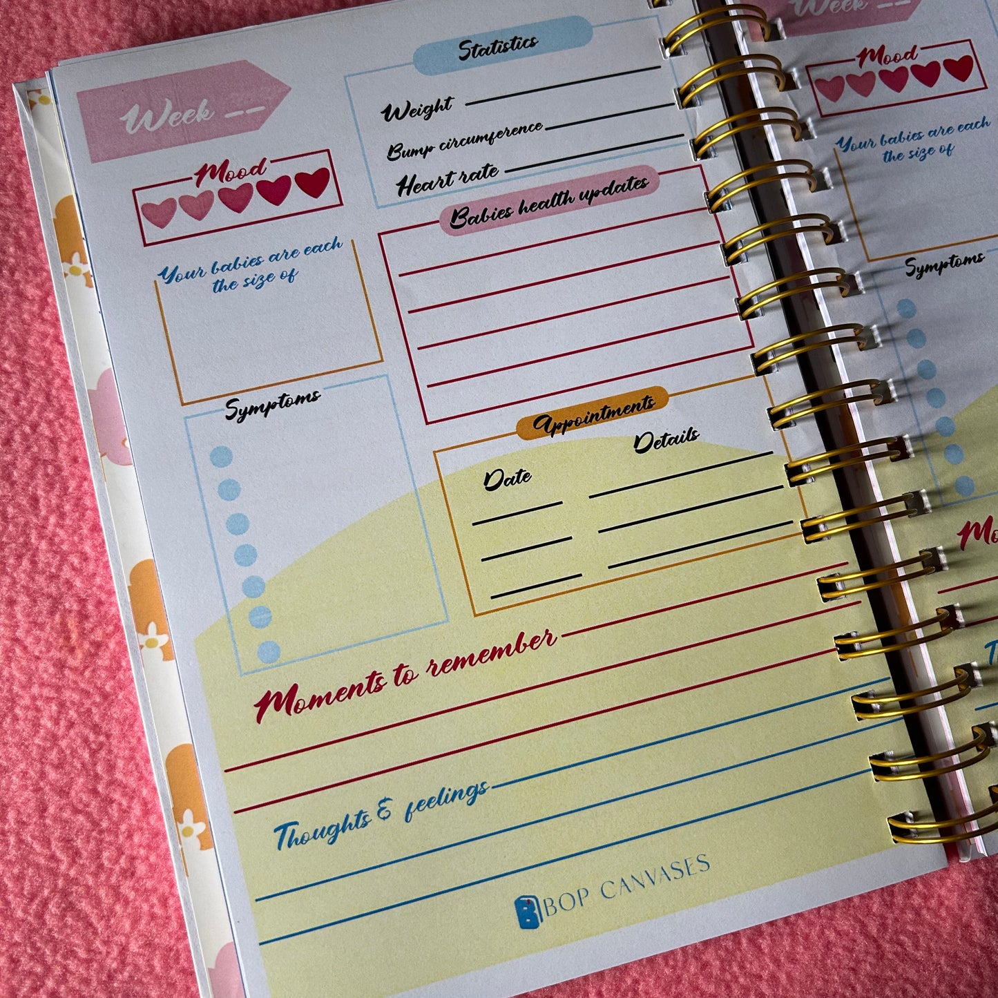 Twin Pregnancy Journal - 9 Months Journal | Personalized with name | Due with two