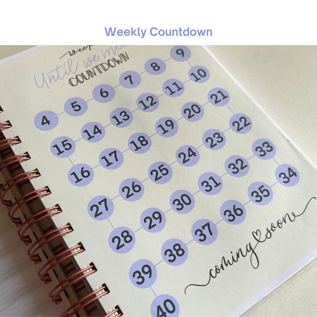 Pregnancy Journal - Lilac | Parents to be | 9 Months Journal - Bop Canvases