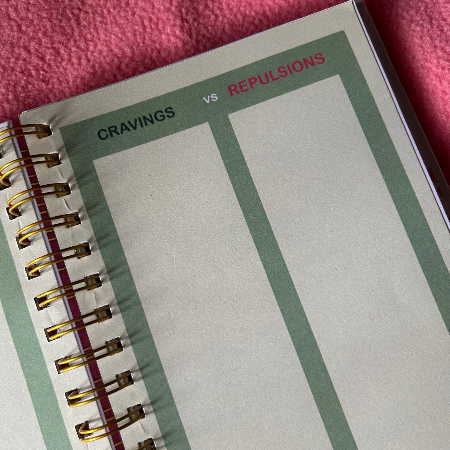 Twin Pregnancy Journal - 9 Months Journal | Personalized with name | Blessed with two